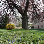Schloss فندق Wallhausen (Saxony-Anhalt)