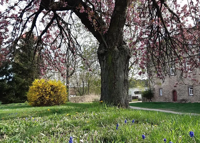 Schloss Отель Wallhausen (Saxony-Anhalt)